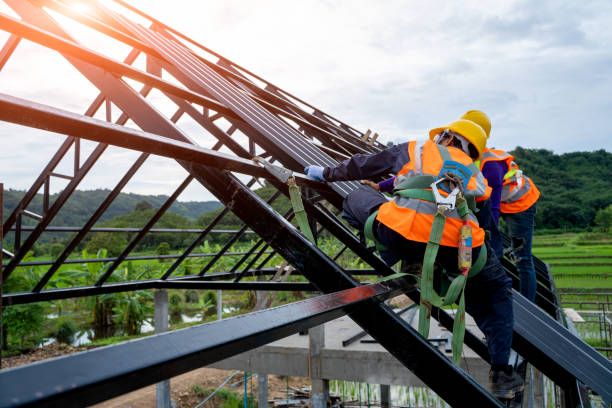 Best Storm Damage Roof Repair  in Anoka, MN
