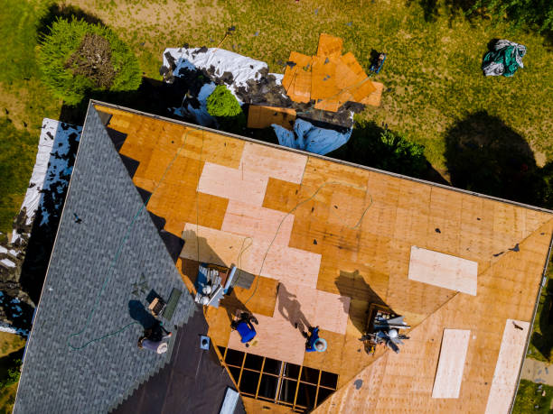 Best Flat Roof Repair Services  in Anoka, MN