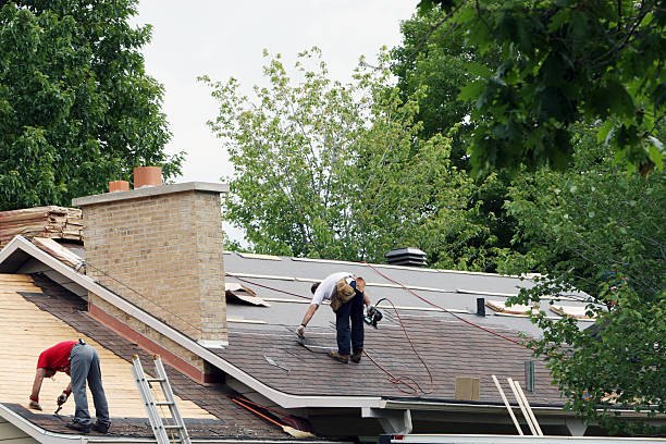 Best Flat Roof Repair Services  in Anoka, MN
