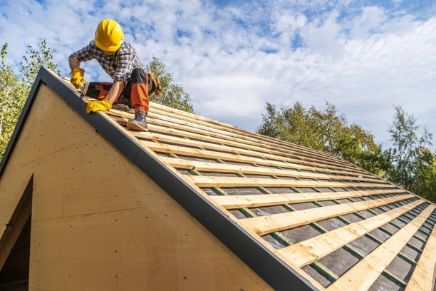 Professional Roofing Contractor in Anoka, MN