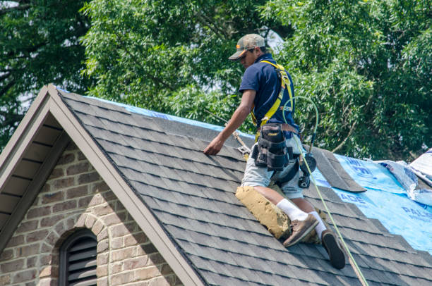 Quick and Trustworthy Emergency Roof Repair Services in Anoka, MN